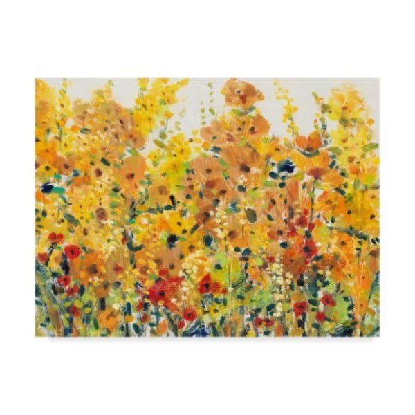 Tim Otoole 'Golden Summer Garden I' Canvas Art, 35x47, Trademark Fine Art, Mfr#: WAG09588-C3547GG